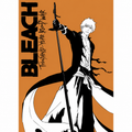 BLEACH TYBW - Poster Maxi 91.5x61 FSC Mix - Ichigo