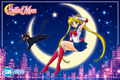 SAILOR MOON - Poster Maxi 91.5x61 FSC Mix - Sailor Moon & Luna
